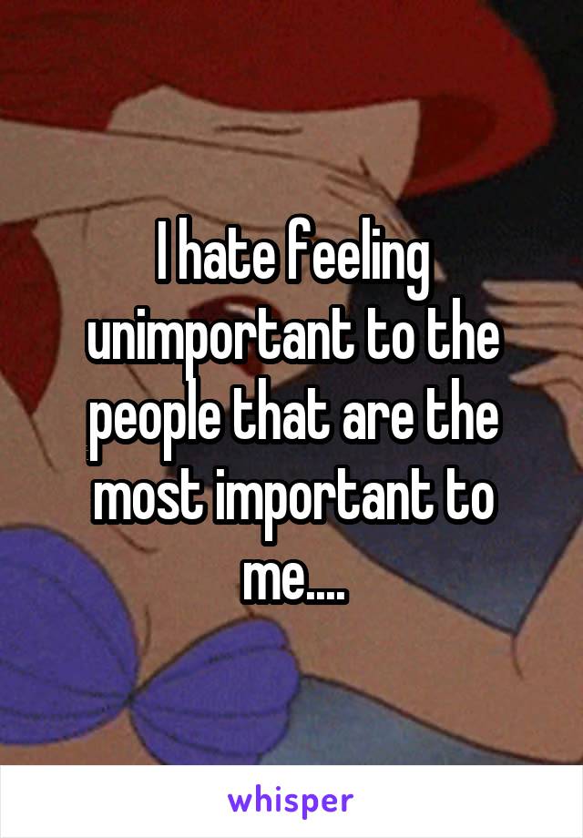 I hate feeling unimportant to the people that are the most important to me....