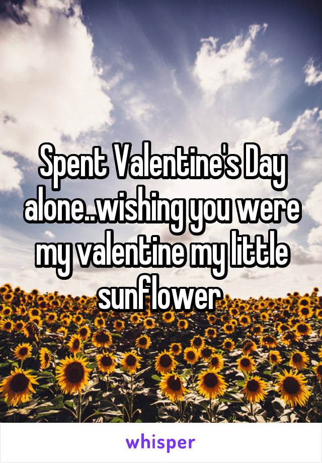 Spent Valentine's Day alone..wishing you were my valentine my little sunflower 