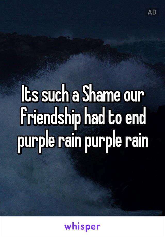 Its such a Shame our friendship had to end purple rain purple rain