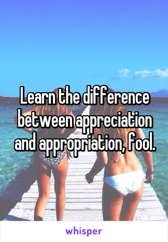 Learn the difference between appreciation and appropriation, fool.