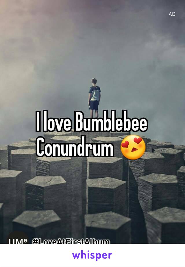 I love Bumblebee Conundrum 😍