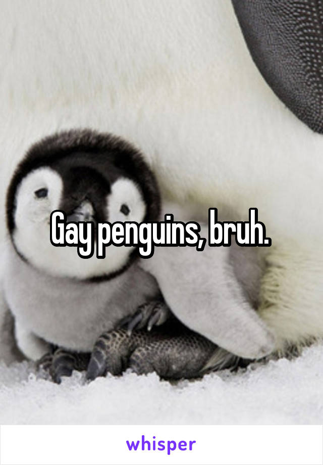 Gay penguins, bruh. 