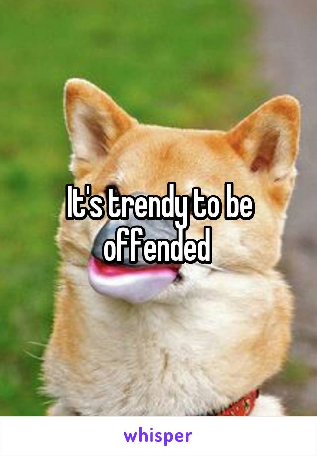 It's trendy to be offended 