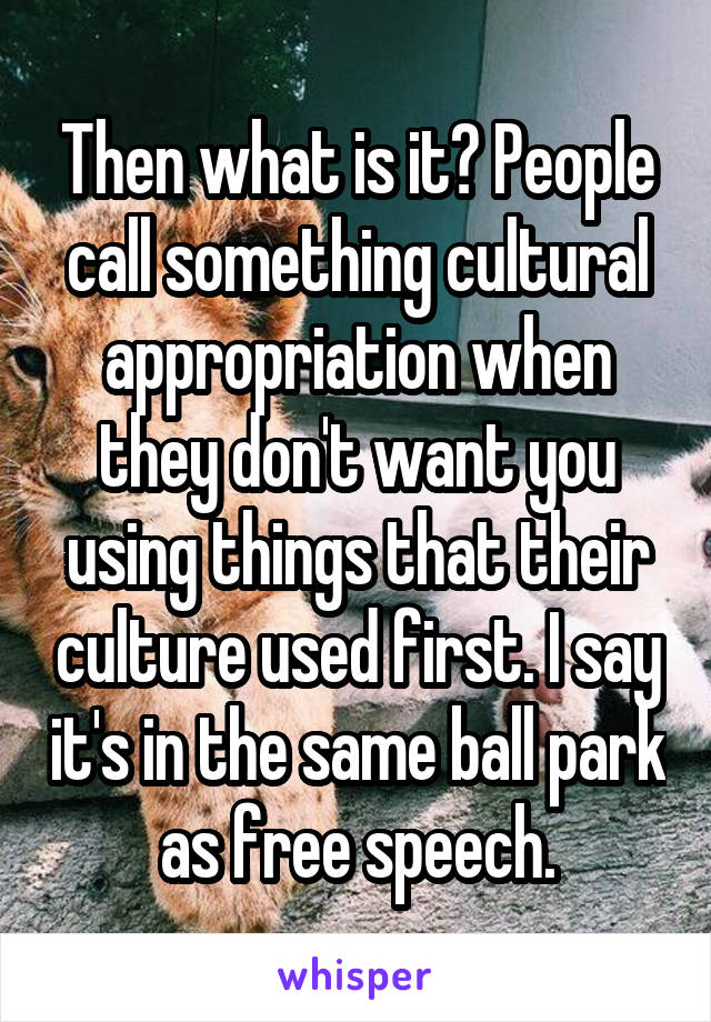 Then what is it? People call something cultural appropriation when they don't want you using things that their culture used first. I say it's in the same ball park as free speech.