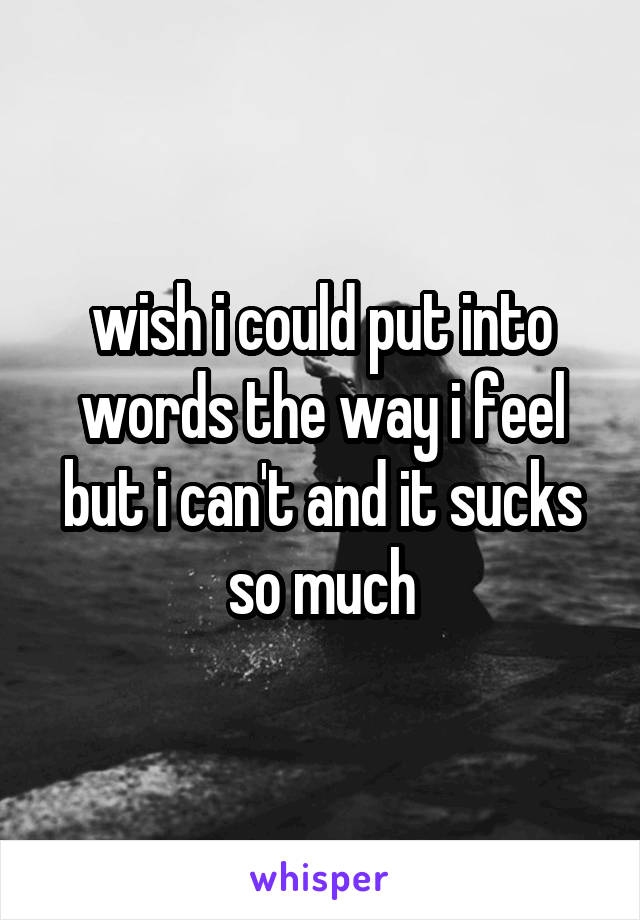 wish i could put into words the way i feel but i can't and it sucks so much