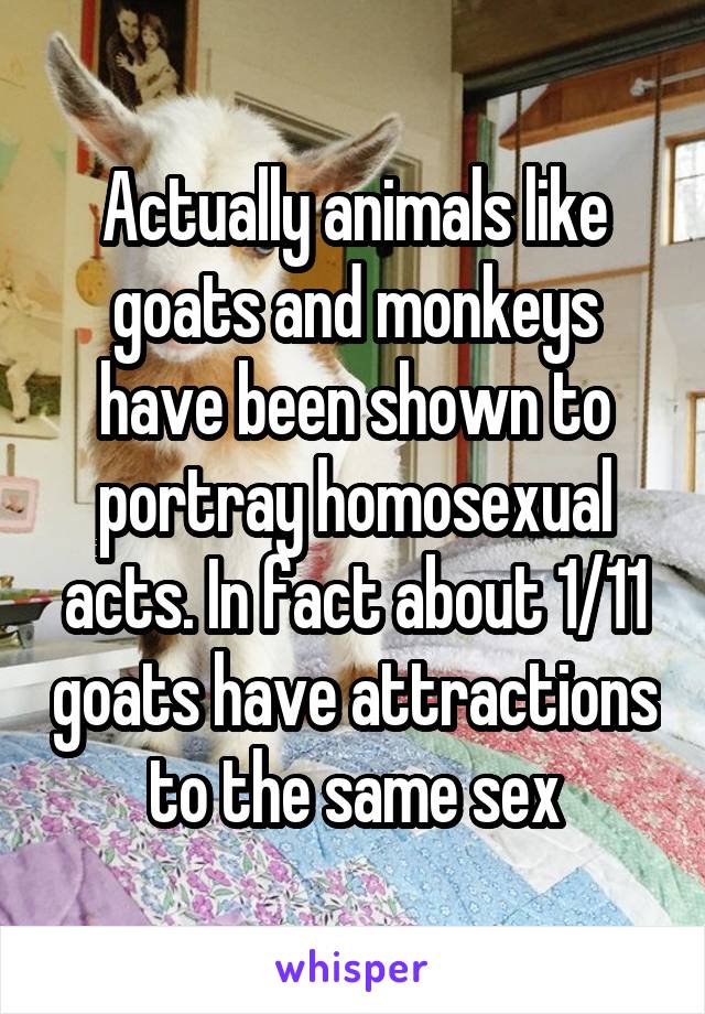 Actually animals like goats and monkeys have been shown to portray homosexual acts. In fact about 1/11 goats have attractions to the same sex