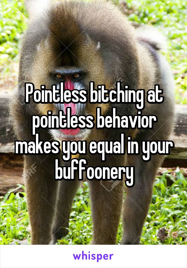 Pointless bitching at pointless behavior makes you equal in your buffoonery