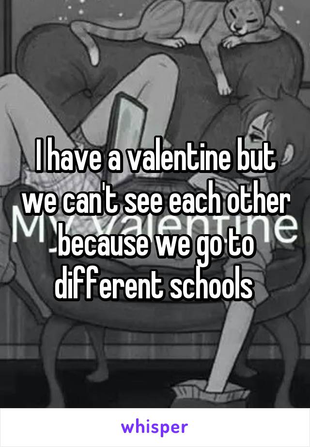 I have a valentine but we can't see each other because we go to different schools 