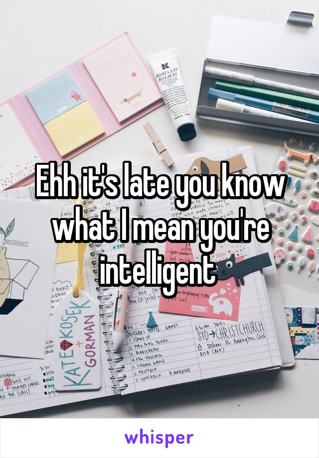 Ehh it's late you know what I mean you're intelligent 