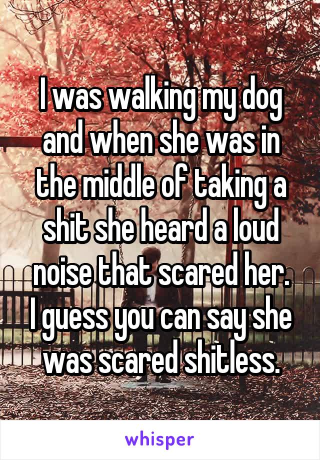 I was walking my dog and when she was in the middle of taking a shit she heard a loud noise that scared her.
I guess you can say she was scared shitless.