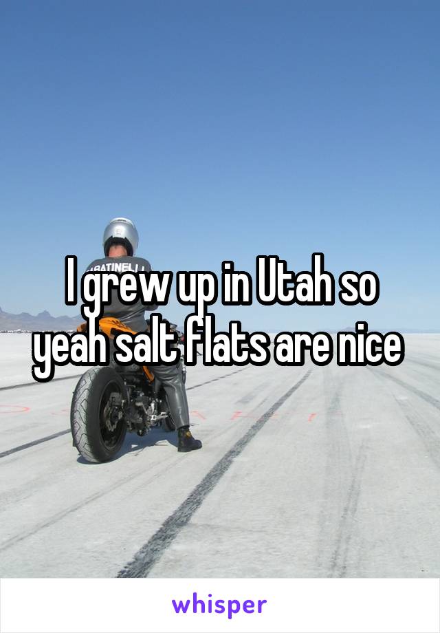 I grew up in Utah so yeah salt flats are nice 