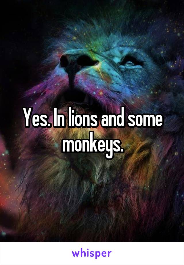 Yes. In lions and some monkeys.