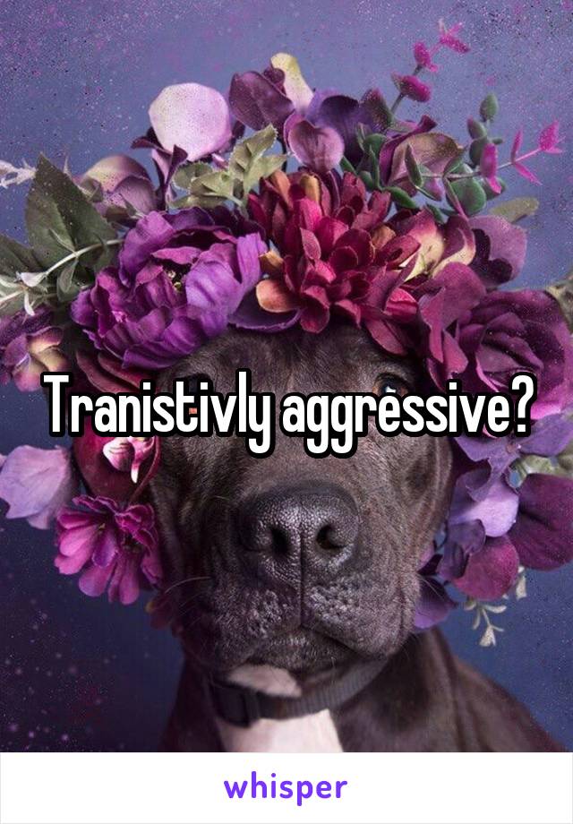 Tranistivly aggressive?