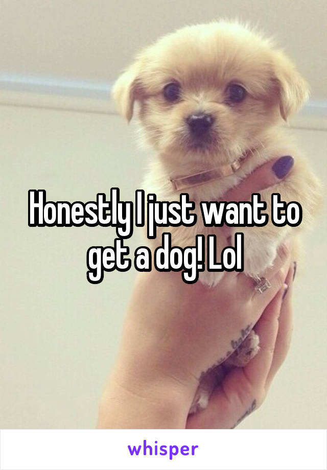 Honestly I just want to get a dog! Lol