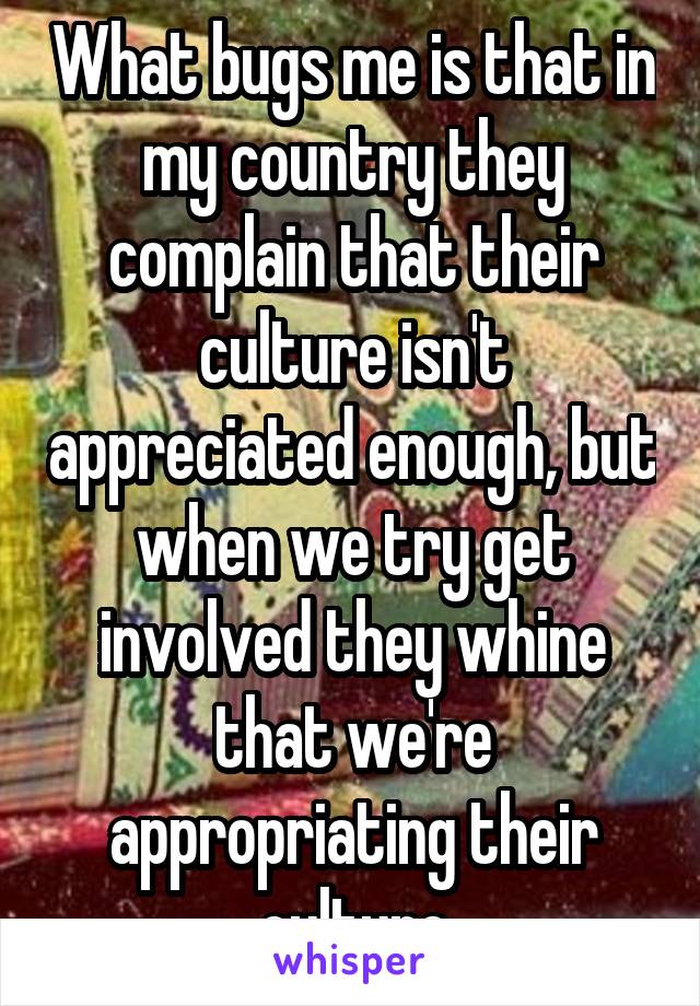 What bugs me is that in my country they complain that their culture isn't appreciated enough, but when we try get involved they whine that we're appropriating their culture