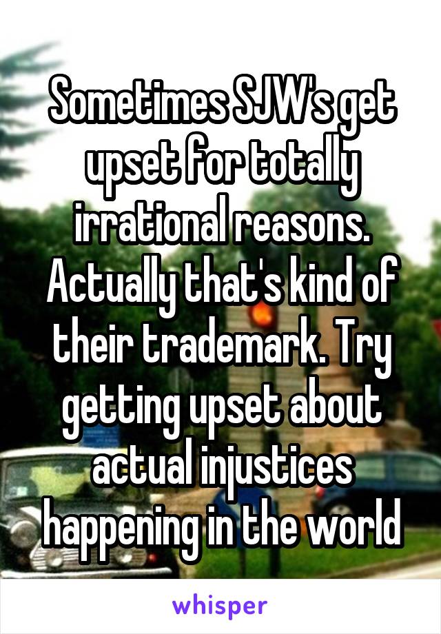 Sometimes SJW's get upset for totally irrational reasons. Actually that's kind of their trademark. Try getting upset about actual injustices happening in the world