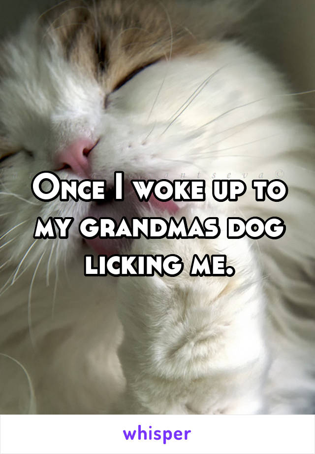 Once I woke up to my grandmas dog licking me.