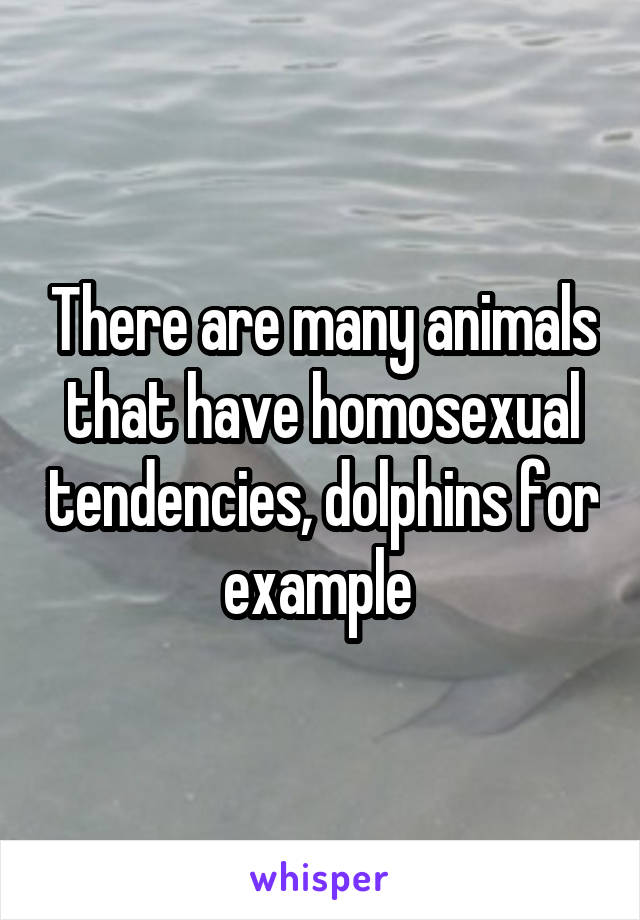 There are many animals that have homosexual tendencies, dolphins for example 