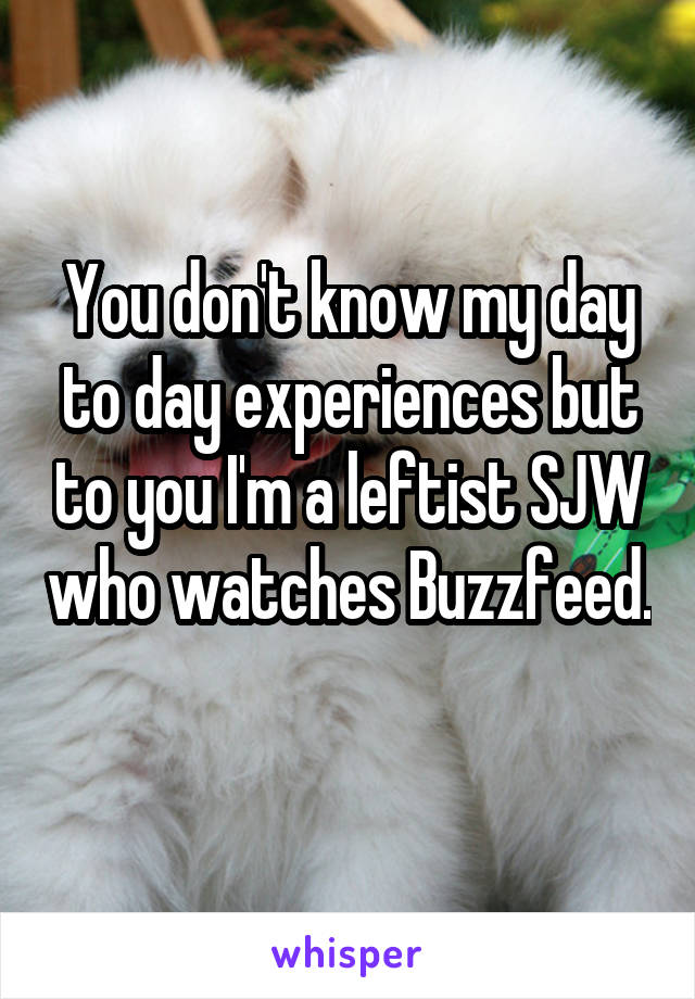 You don't know my day to day experiences but to you I'm a leftist SJW who watches Buzzfeed. 