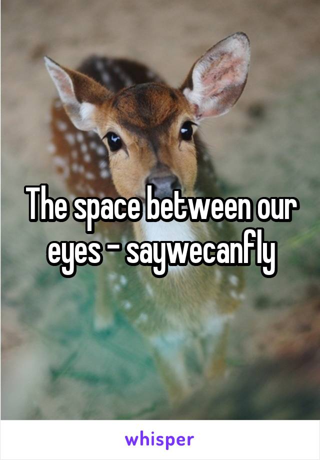 The space between our eyes - saywecanfly