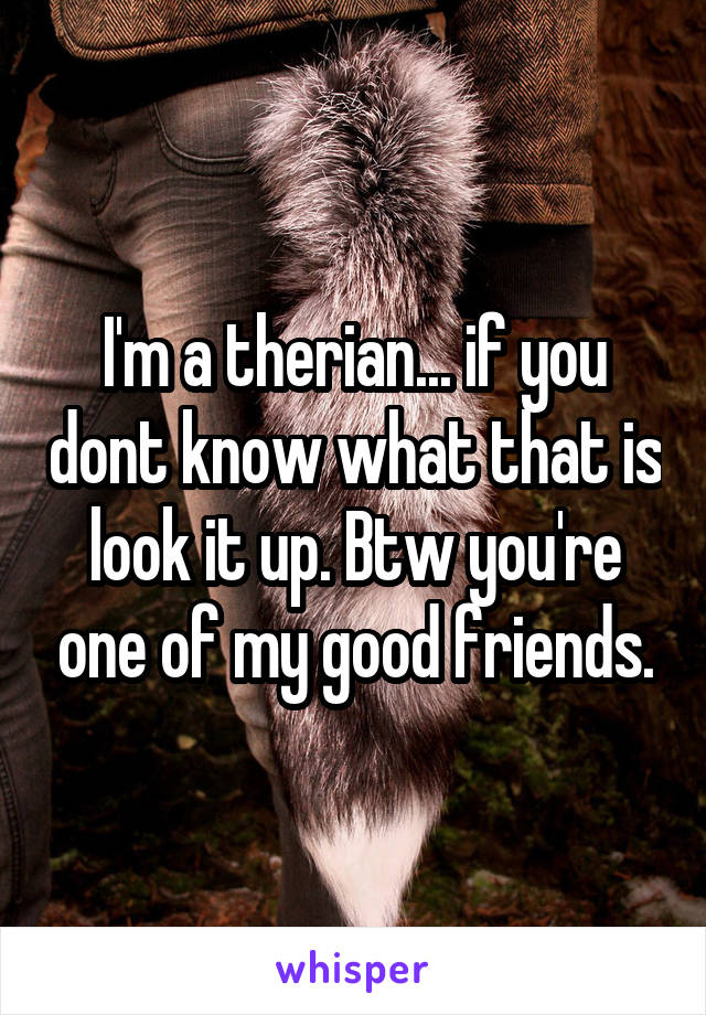 I'm a therian... if you dont know what that is look it up. Btw you're one of my good friends.