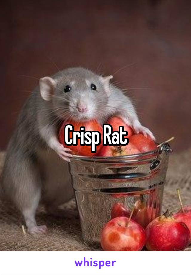 Crisp Rat