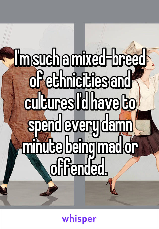 I'm such a mixed-breed of ethnicities and cultures I'd have to spend every damn minute being mad or offended. 