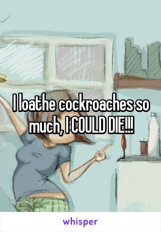 I loathe cockroaches so much, I COULD DIE!!!