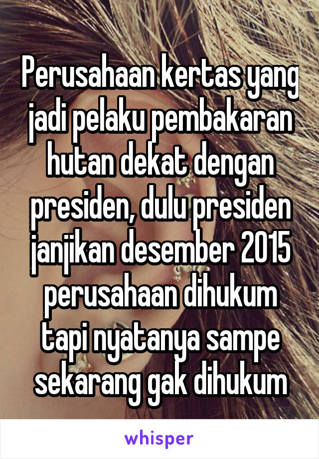 Perusahaan kertas yang jadi pelaku pembakaran hutan dekat dengan presiden, dulu presiden janjikan desember 2015 perusahaan dihukum tapi nyatanya sampe sekarang gak dihukum