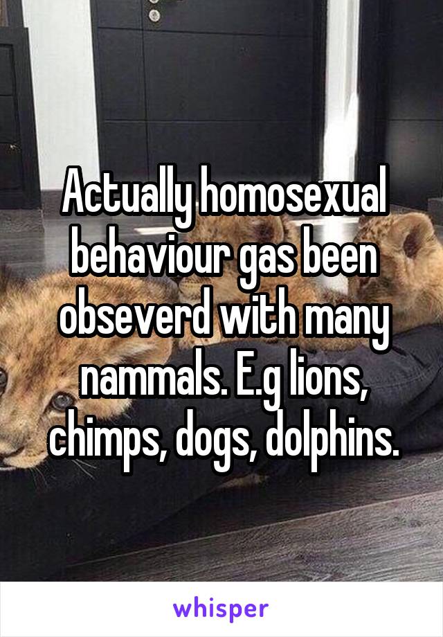 Actually homosexual behaviour gas been obseverd with many nammals. E.g lions, chimps, dogs, dolphins.