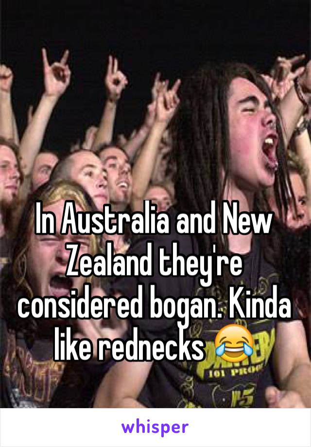 In Australia and New Zealand they're considered bogan. Kinda like rednecks 😂