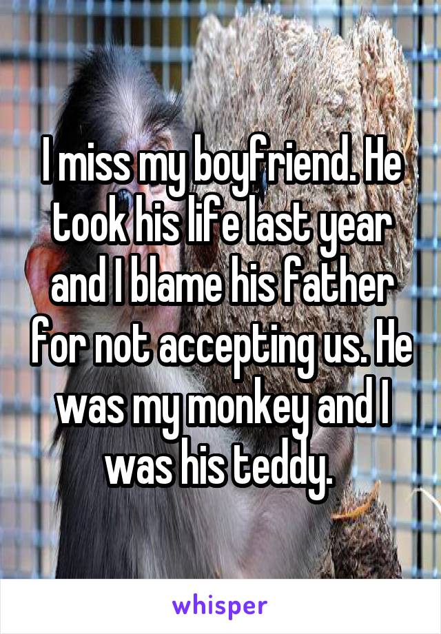 I miss my boyfriend. He took his life last year and I blame his father for not accepting us. He was my monkey and I was his teddy. 