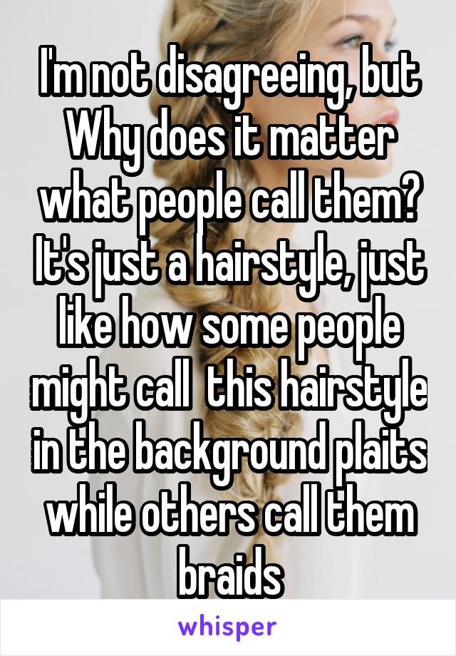 I'm not disagreeing, but Why does it matter what people call them? It's just a hairstyle, just like how some people might call  this hairstyle in the background plaits while others call them braids