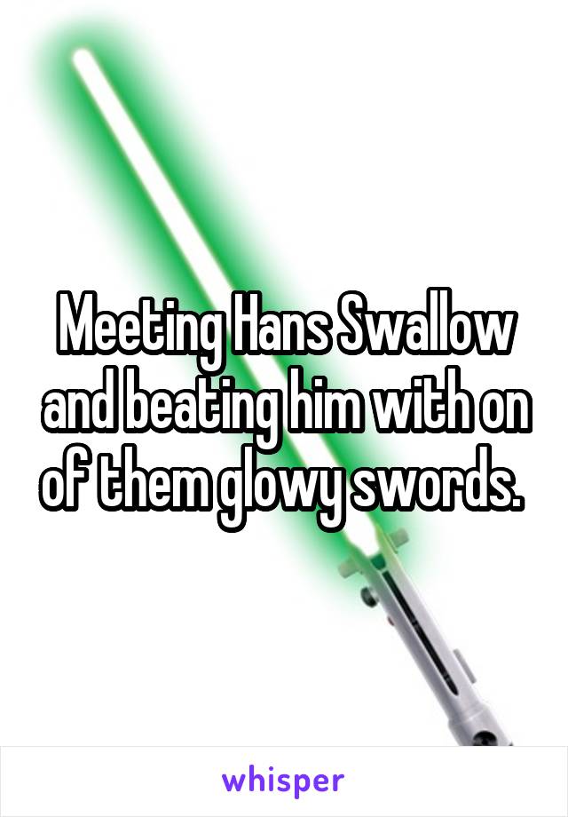 Meeting Hans Swallow and beating him with on of them glowy swords. 