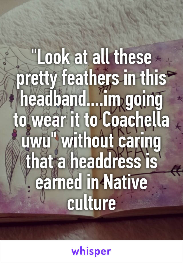 "Look at all these pretty feathers in this headband....im going to wear it to Coachella uwu" without caring that a headdress is earned in Native culture