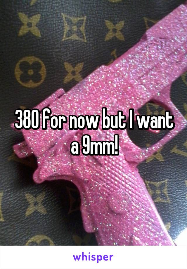 380 for now but I want a 9mm!