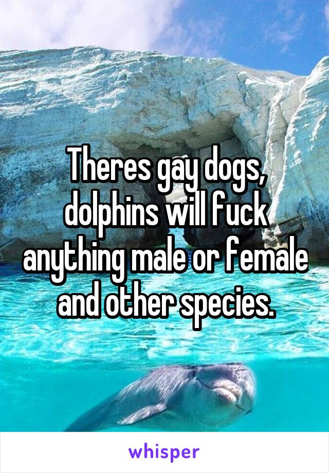 Theres gay dogs, dolphins will fuck anything male or female and other species.