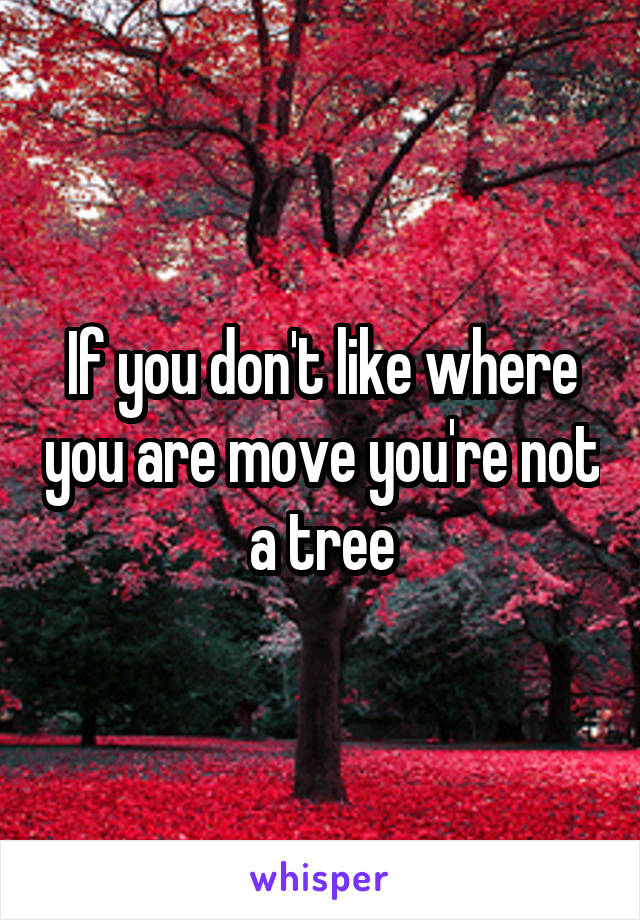 If you don't like where you are move you're not a tree