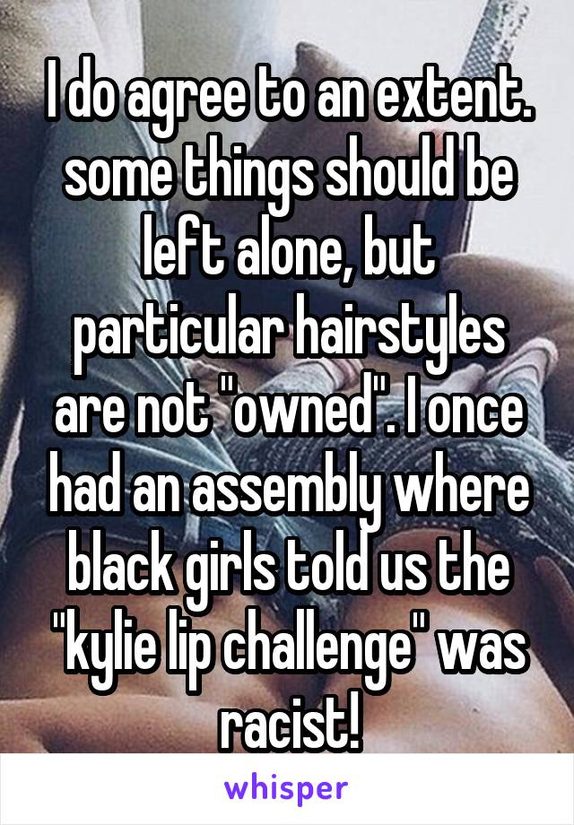 I do agree to an extent. some things should be left alone, but particular hairstyles are not "owned". I once had an assembly where black girls told us the "kylie lip challenge" was racist!