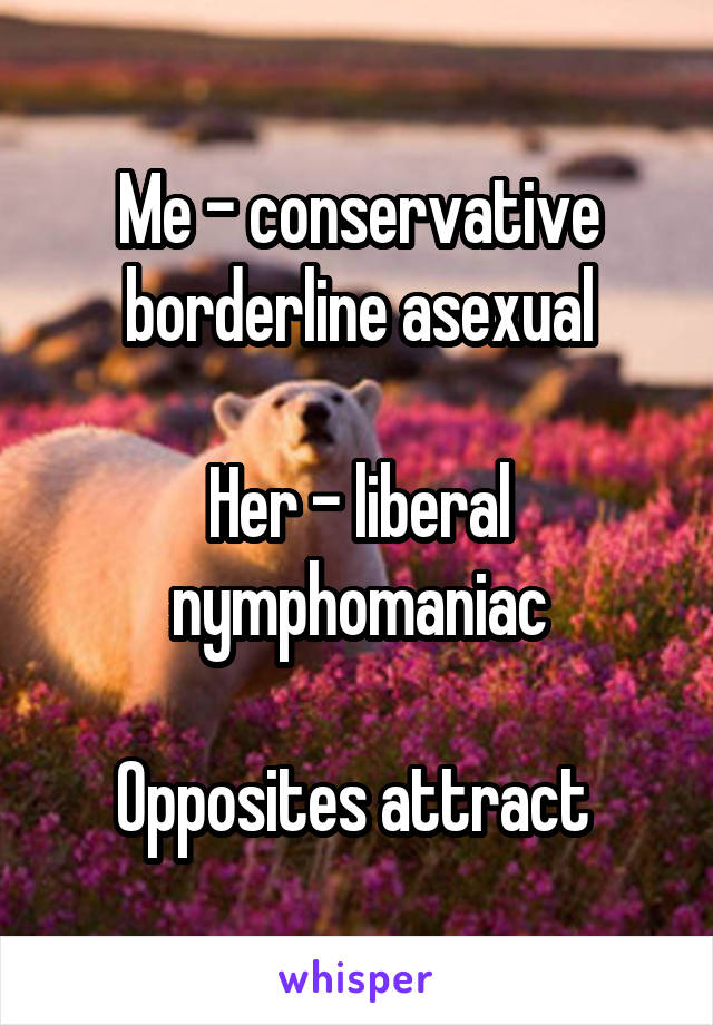 Me - conservative borderline asexual

Her - liberal nymphomaniac

Opposites attract 