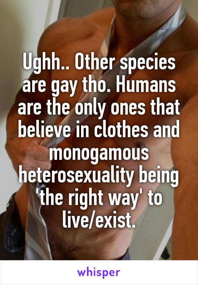 Ughh.. Other species are gay tho. Humans are the only ones that believe in clothes and monogamous heterosexuality being 'the right way' to live/exist.