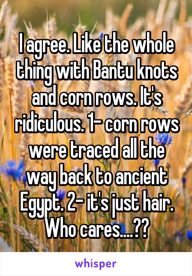 I agree. Like the whole thing with Bantu knots and corn rows. It's ridiculous. 1- corn rows were traced all the way back to ancient Egypt. 2- it's just hair. Who cares....??