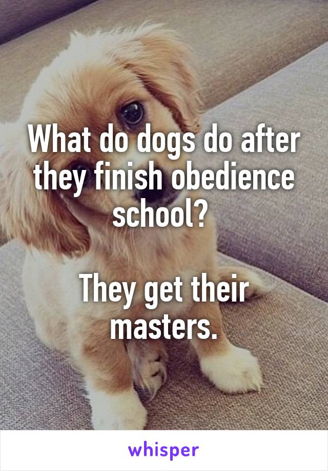 What do dogs do after they finish obedience school? 

They get their masters.