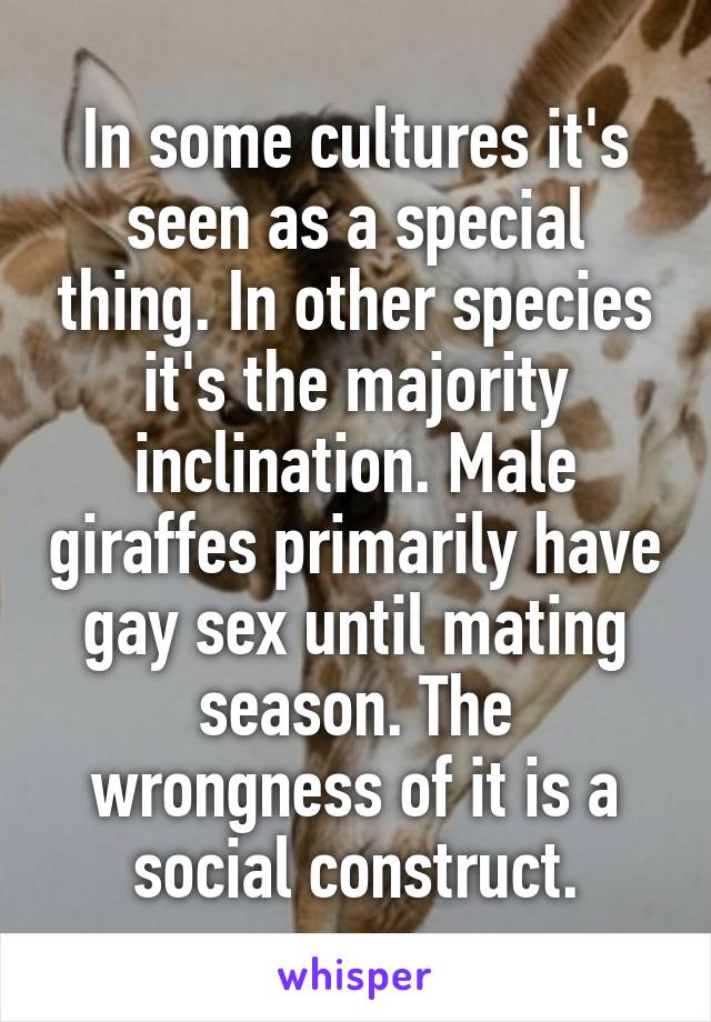 In some cultures it's seen as a special thing. In other species it's the majority inclination. Male giraffes primarily have gay sex until mating season. The wrongness of it is a social construct.