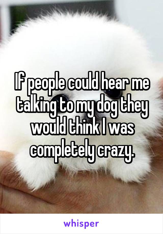 If people could hear me talking to my dog they would think I was completely crazy.