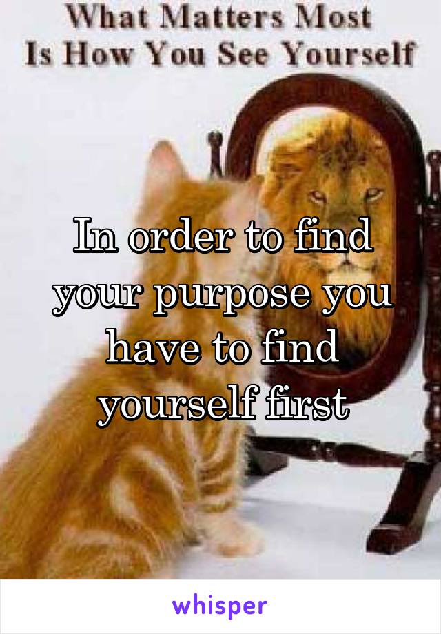 In order to find your purpose you have to find yourself first