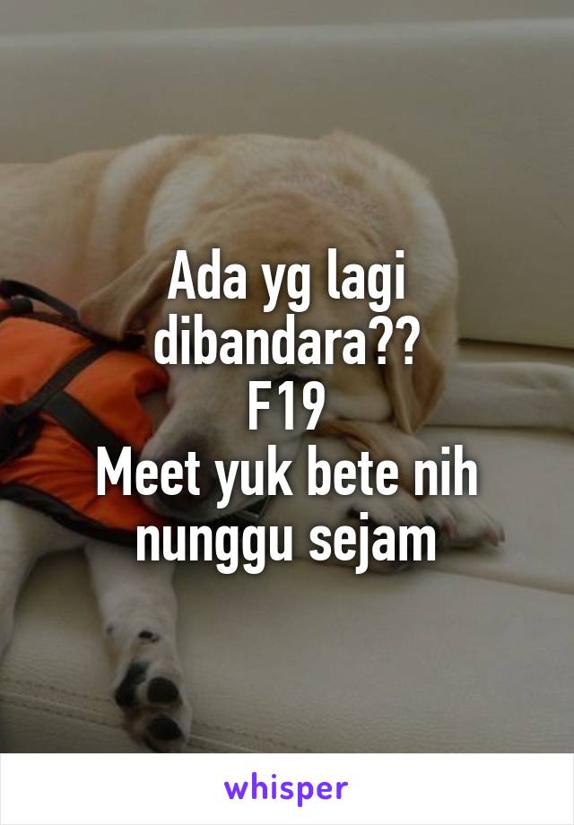 Ada yg lagi dibandara??
F19
Meet yuk bete nih nunggu sejam