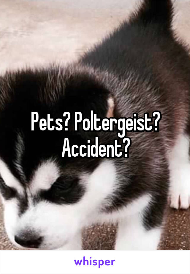 Pets? Poltergeist? Accident?