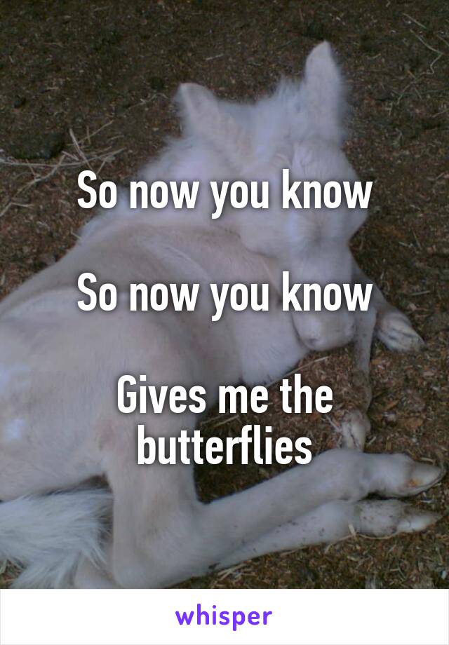 So now you know

So now you know

Gives me the butterflies