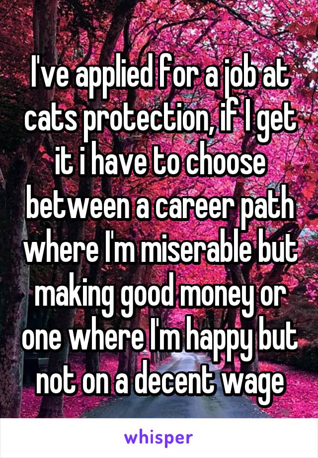 I've applied for a job at cats protection, if I get it i have to choose between a career path where I'm miserable but making good money or one where I'm happy but not on a decent wage